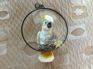 HANGING PARROT BIRD ON RING SWEET PARROT WITH PLANT HOME DECOR GARDEN PATIO 3