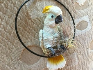 HANGING PARROT BIRD ON RING SWEET PARROT WITH PLANT HOME DECOR GARDEN PATIO 5