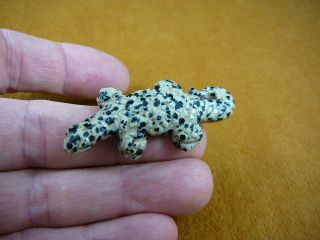 (y - Liz - Ur - 552) Spotted Uromastyx Lizard Carving Figurine Gemstone