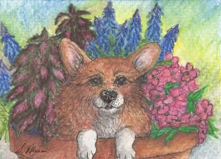 Welsh Corgi Dog Orig Aceo Mini Painting By Susan Alison Pot Flowers Busy Lizzies