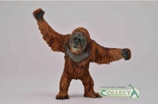 Collecta 88730 Orangutan Ape Pvc Animal Figure Model Figurine