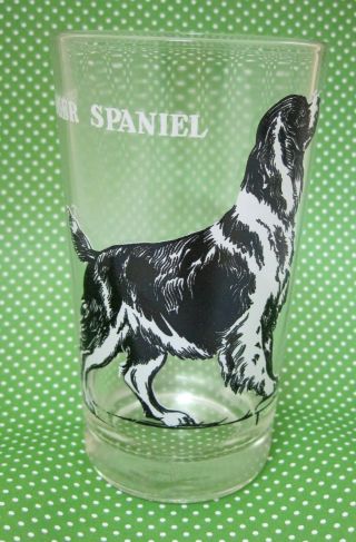Vintage Springer Spaniel Dog Black White Bar Drinking Glass 5 " Great Shape