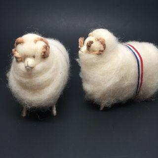 Wooly Sheep Rams With Curved Horns Red White & Blue Sash 4x5