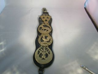 Vintage Leather Martingale Strap With 4 Brass Horse Medallions Found In England