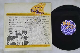 Blue Zoo Cry Boy Cry Cbs/sony 07sp689 Japan Promo Vinyl 12