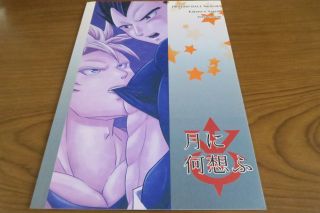 Dragon Ball yaoi Doujinshi Goku X Vegeta (B5 32pages) herumon Tsukini omou 2