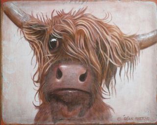Red Scottish Highland Cow Shabby Chic Wooden Sign Plaque Picture