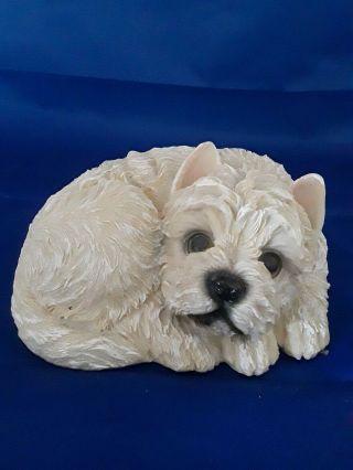 White Westie West Highland Terrier Dog Resin Figurine Laying Down Curled Up