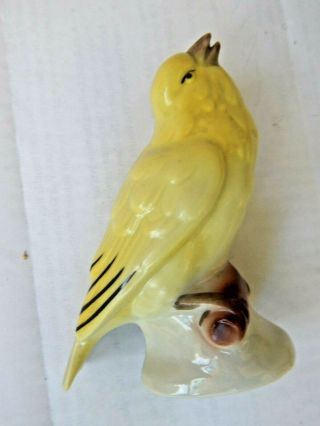 Vintage Yellow Finch/canary Bird Ceramic Figurine Marked Germany