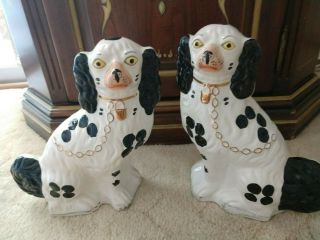 Rare Vintage Arthur Wood Springer Spaniel Dog Set (large,  Ceramic) From England