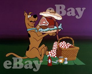 Rare Scooby Doo Movies Cartoon Color Tv Photo Hanna Barbera Studios
