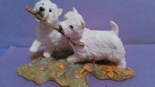 Sherratt & Simpson West Highland White Terrier 