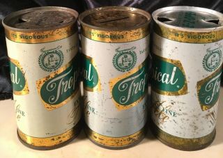 3 Tropical ALE flat tops with different lids,  Tampa Florida 4