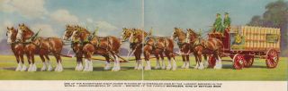 Double Tinted Budweiser 8 Horse Clydesdale Horses Pulling Beer Wagon Postcard