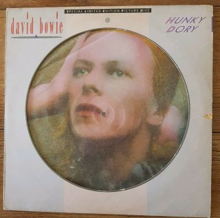 David Bowie - Hunky Dory - Rare Picture Disc Uk 1984 Biopic2