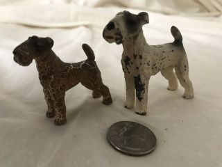 Antique Small Fox Terrier Dogs
