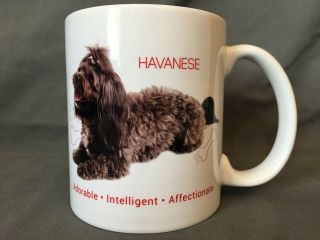 Havanese Dog Coffee Mug Man 