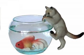 Siamese Cat On Glass Bowl With Fish Miniature Cat Figurine (b) Climbing In Bowl