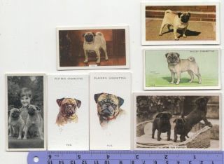 Pug Dog Pet Canine 7 Different Vintage Ad Trade Cards 4
