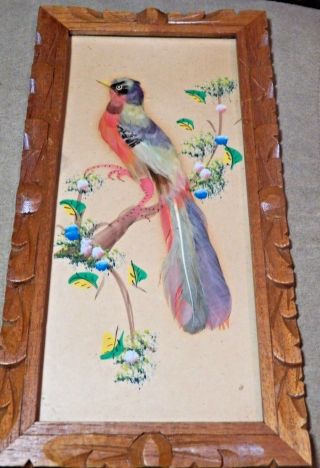 Real Vintage Framed Bird Feather Art Picture 12 1/2 " H.  By 6 1/2 " W W Frame