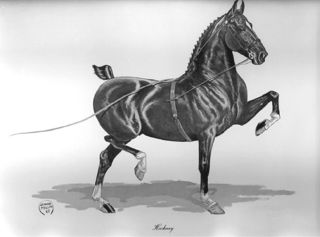 Rare Hackney Show Pony Jeanne Mellin Vntage Horse Art Print 1965