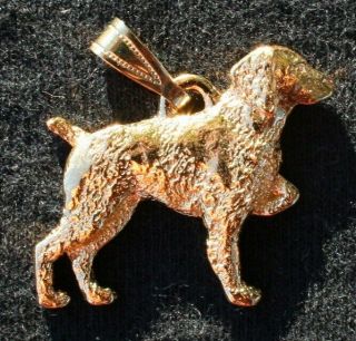 Brittany Dog 24k Gold Plated Pewter Pendant Jewelry Usa Made