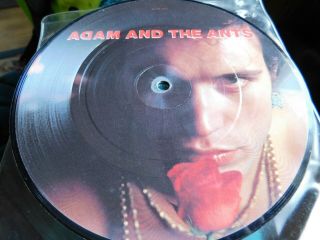 Adam Ant Goody Two Shoes Misprinted Picture Disk 2