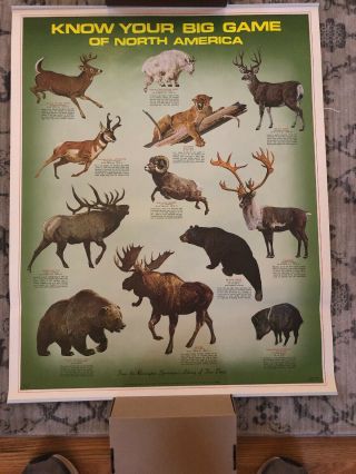 Vintage Remington Poster “ Know Your Big Game Of North America”