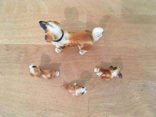 Vintage 4 Piece Bone China Saint Bernard Dog Set Family Adult & 3 Puppies Japan 5