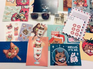 Lil Bub Club Cat Sub Box Items Postcards Stickers Sunglasses