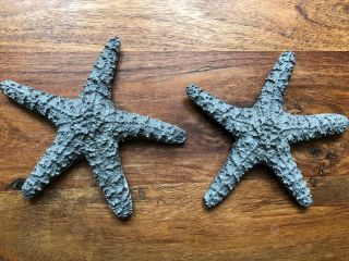 Vintage Metal Pewter Starfish Sculptures 5 " Beach Nautical Paperweight
