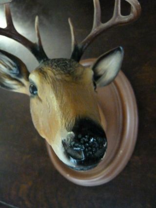 Vintage Decorative Wall Buck Bust Statue Deer Head Sculpture Antlers Wildlife 3d