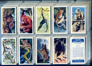 Trade Card Set,  Brooke Bond Tea,  Asian Wild Life,  Animals,  Wildlife,  1962