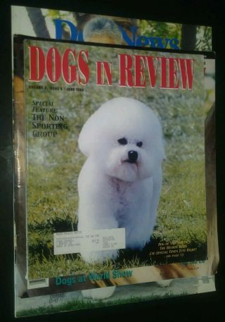 4 Bichon Frise Magazines Dogs Monthly Show Dogs Popular Dogs Akc Gazette Photos