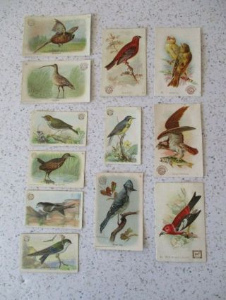 12 Antique Victorian Trade Cards,  " Arm & Hammer,  Birds " Series