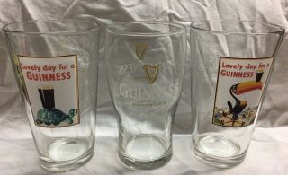 Lovely Day For A Guinness Set Of 3 Beer Glasses 6”