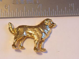 Golden Retriever Dog Pin Golden Really Pin - Make A Great Gift