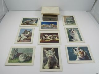 Vintage Box Of Alfred Mainzer Cat Prints Gift Notes W Envelopes : 9 Total