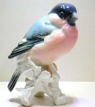 Karl Ens German Antique Porcelain Finch Bird Figurine Circa 1919 - 1945
