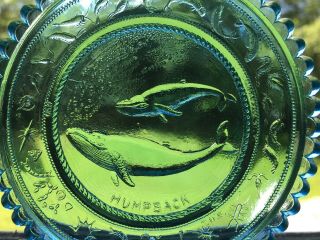 Humpback Whale Pairpoint Glass Cup Plate Gentle Giants Whales Thornton W Burgess