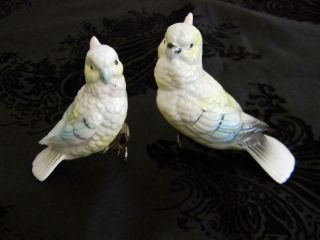 Rare Vintage Pair Hand Painted Porcelain Ceramic Clip On Cockatiel Birds