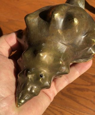Conch Sea Shell Clam Fossil Statue Figurine 100 Grade B Casted Bronze