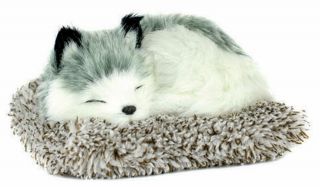 Alaskan Husky Perfect Petzzz Mini Snoring Dog Stuffed Animal