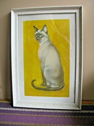 1964 Print Blue Eyed Siamese Cat By Girard Vintage Framed Under Glass 13 " X 9 "