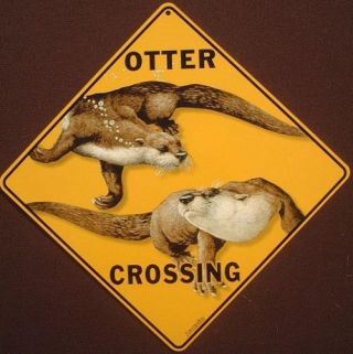Otter Crossing Sign 16 1/2 By 16 1/2 Picture Otters Decor Animals Signs