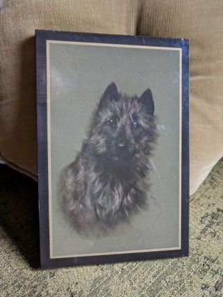 Vintage Skye Cairn Terrier Picture Wall Handing Wooden Dog Antique Photo Usa