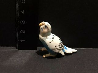 Kaiyodo Furuta Choco Q Pet Animal 4 Budgerigar Bird Figure B