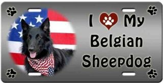 Belgian Sheepdog License Plate - Love
