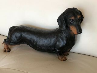 Dachshund Dog Black & Tan Figurine Life Size 14 " Resin Decorative Realistic