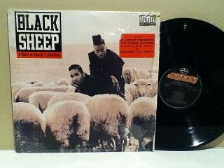 Black Sheep - " A Wolf In Sheep 